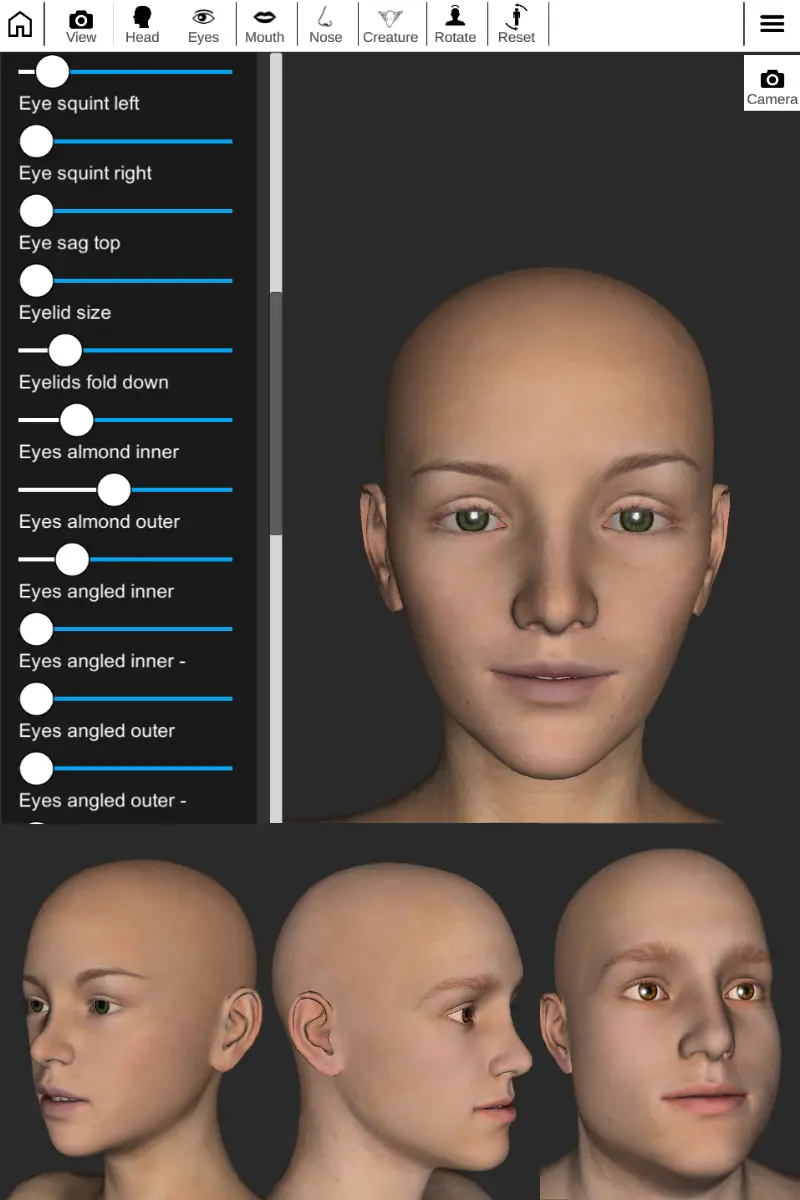 human skull reference image