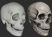blog-post-image