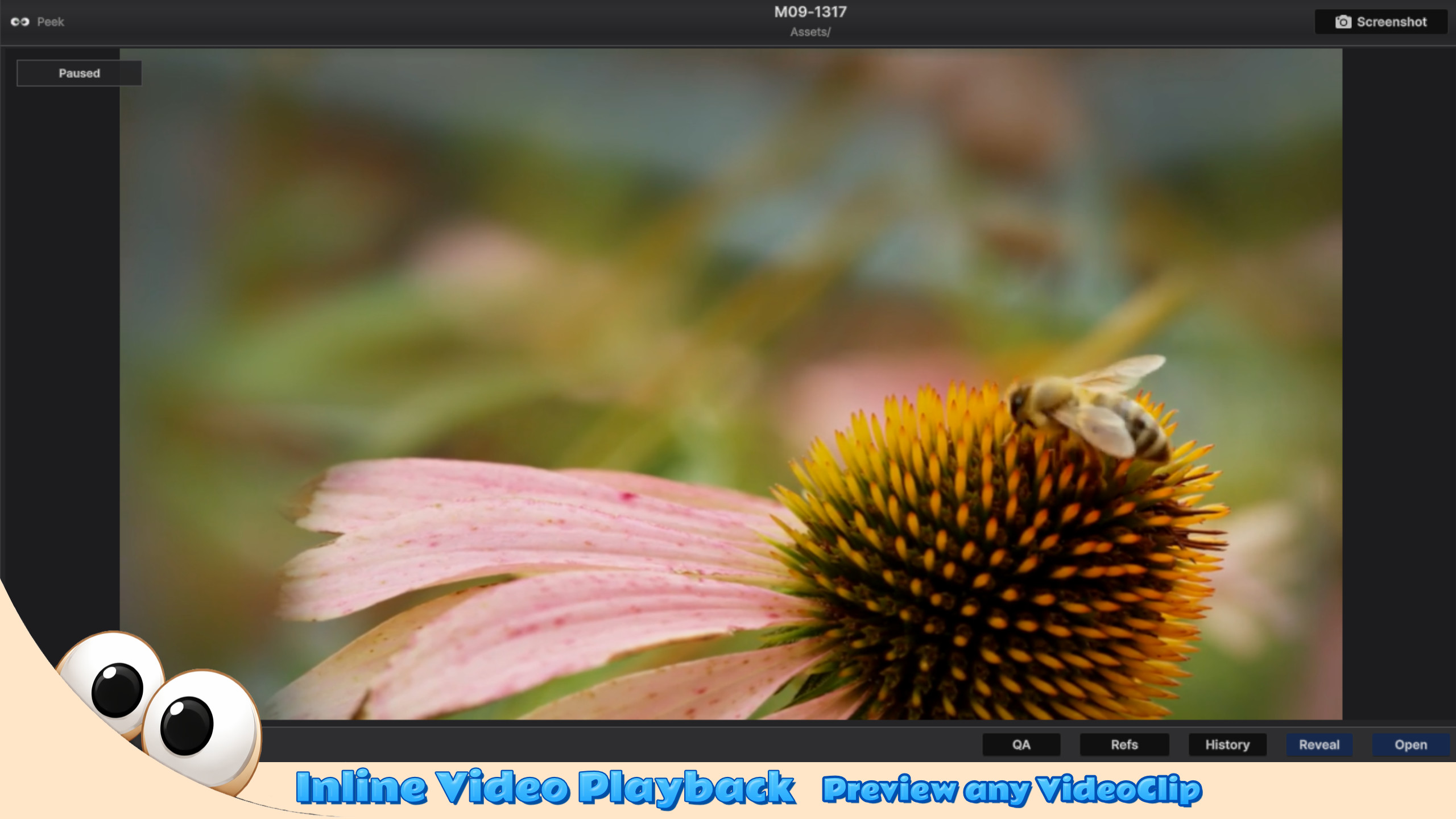 Video clip playback